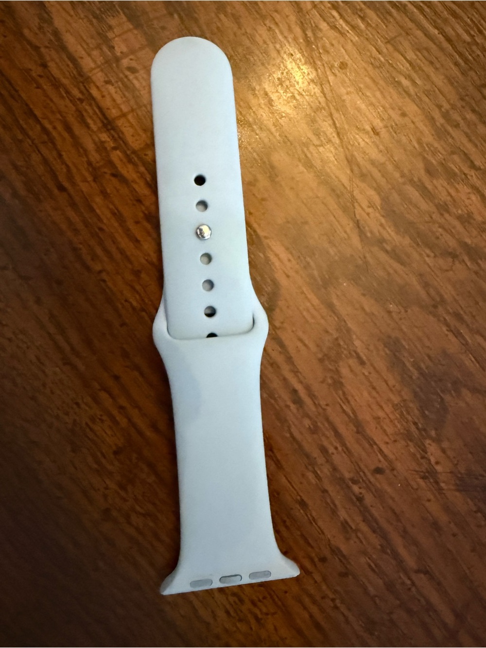 Apple Light Blue Silicone Watch Band